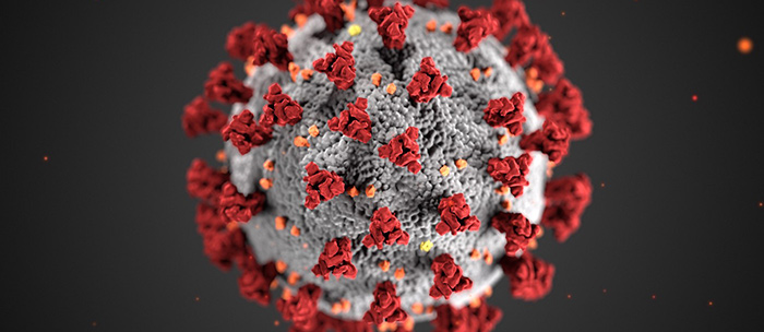 An image of the corona virus