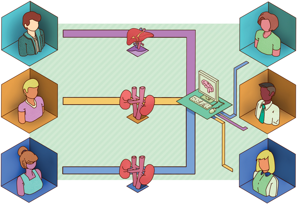 An illustration showing a network of people connected by a living organ donor newtwork