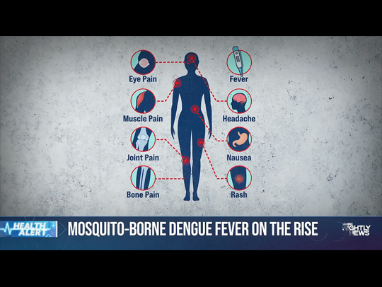 Screenshot of a news segment showing an an outline of a body with symbols and texts indicating the symptoms of dengue fever throughout the body. Text below it reads, Monsquito-borne Dengue Fever on the Rise.