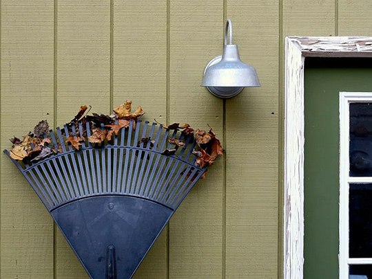 A rake with leaves caught in it, leaning up against the side of a tan shed with a green door. Credit: Chiot's Run-Flickr.