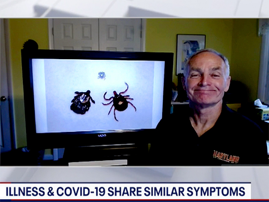 A screenshot of Jacob Wenegrat on TV with a photo of ticks in a monitor behind him.