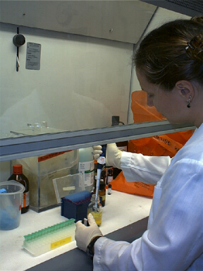 Sarah Kingston in the Lab