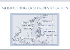 Monitoring Oyster Restoration