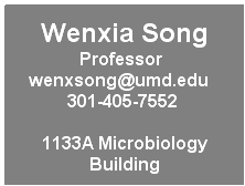 Text Box: Wenxia Song Professor wenxsong@umd.edu    301-405-7552  
1133A Microbiology Building
