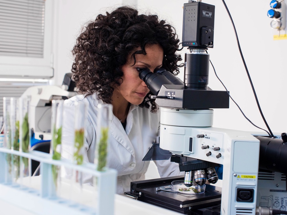 Researcher examining a sample under a microscope