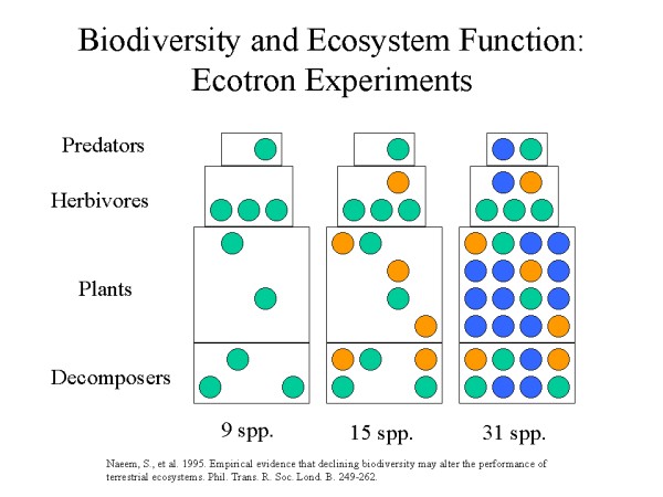 ecosystem experiment results