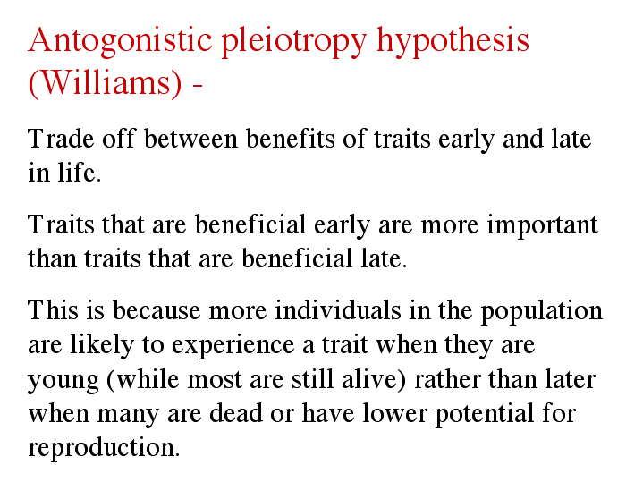 Organismic And Evolutionary Biology