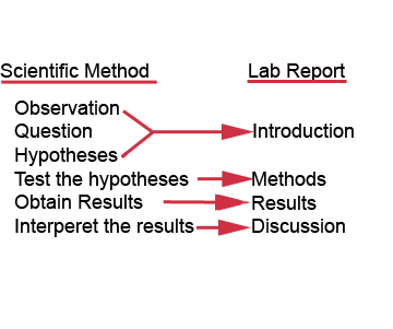 scientific method vs. lab report