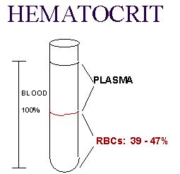 hematocrit