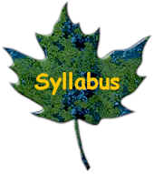 link to course syllabus