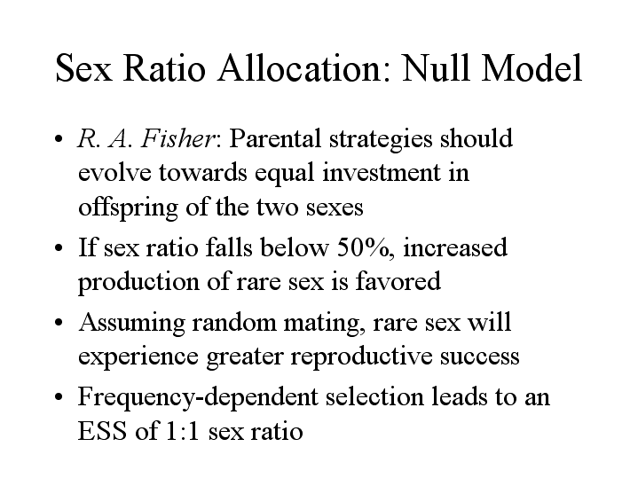 Sex Ratio Allocation Null Model