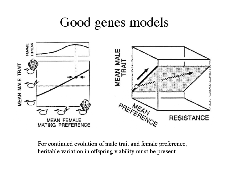 good genes hypothesis problems