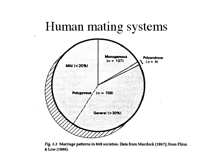 human-mating-systems