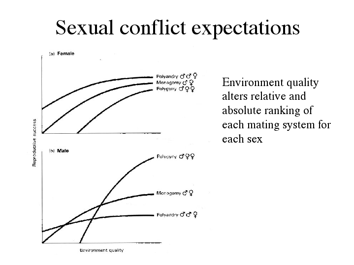 evolutionary arms race between the sexes sexual conflict