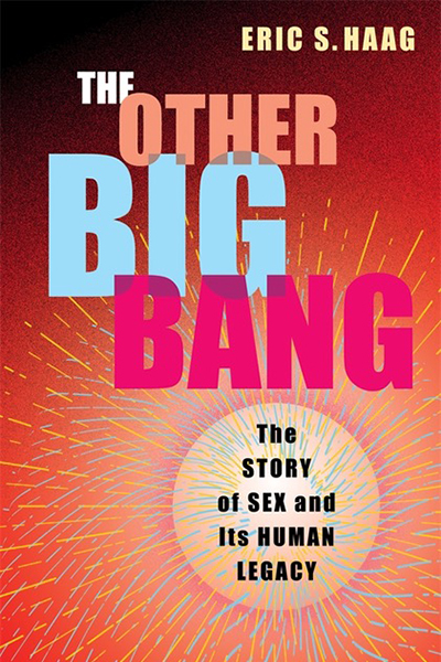 Book cover for The Other Big Bang