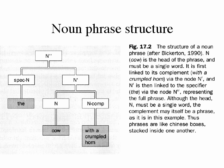 Noun Phrase Structure