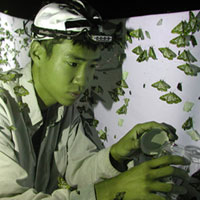 Akito Kawahara, PhD Candidate, UM Department of Entomology