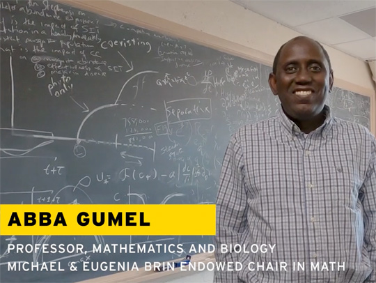 A video still of Abba Gumel standing in front of a chalkboard filled with equtions.