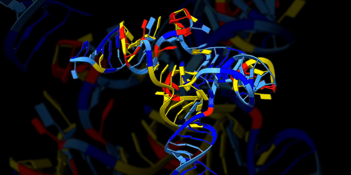 A colorful 3D rendering of RNA