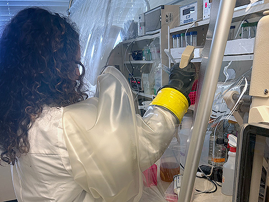 Gabriella Arp working in Brantley Hall's lab.