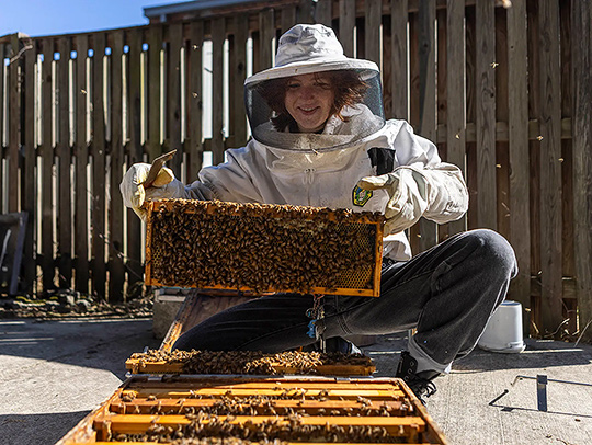 A woman in a beekeeper's protective gear, holding an open hive