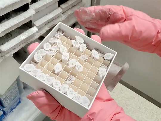 A video still showing gloved hands handling a box of vials taken from a freezer