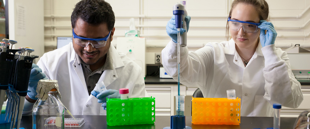 A man and a woman working in a lab together.