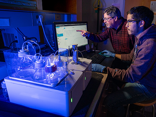 Manny Bazan-Bergamino (right) works with Chemistry and Biochemistry Professor Lyle Isaacs (left) on molecular containers. Credit: Mark Sherwood