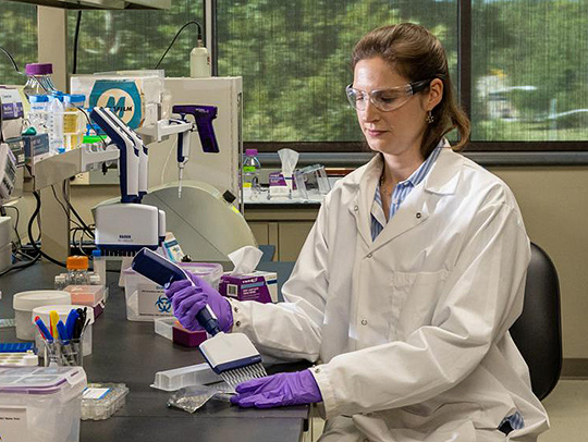 Stephanie Galanie working at a lab bench, wearing a lab coat, gloves and eye protection. Credit: Oak Ridge National Laboratory