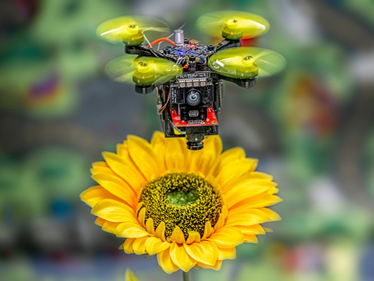 A tiny quadrotor vehicle hovering above a bright yellow flower