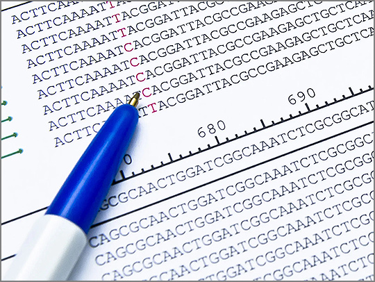 A page of genetic data shown as tables of the letters G-C-T-A in various combinations. A pen rests on the sheet.