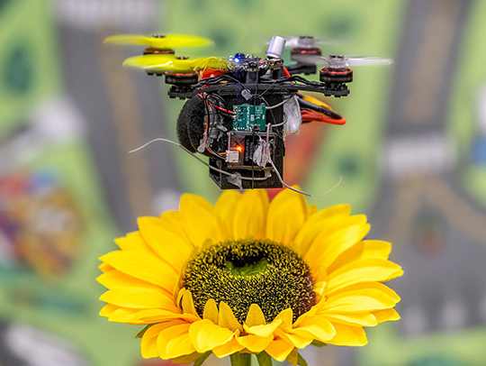 A tiny drone hobering over a flower. Photo by Nitin Sanket.
