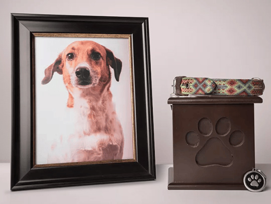 A framed portrait of a dog next to a wooden urn with a collar on top of it.