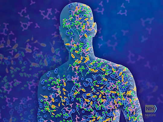 A dense, brightly-colored illustration representing the human microbiome. The outline of a human being is filled with a variety of bacteria. Credit: Getty Images.