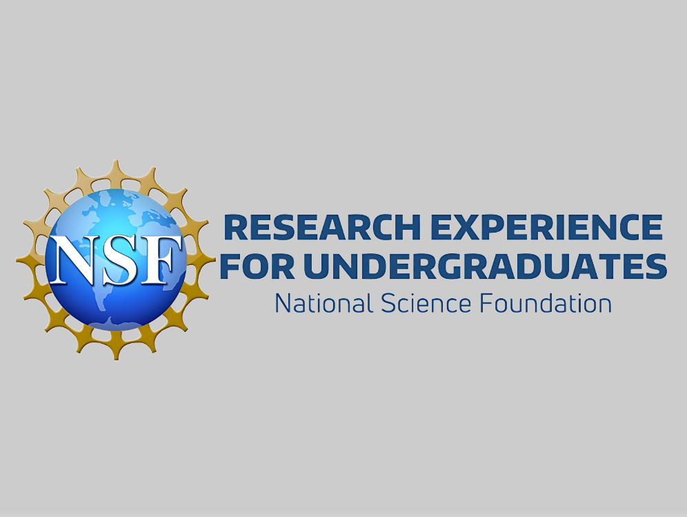 NSF-REU logo