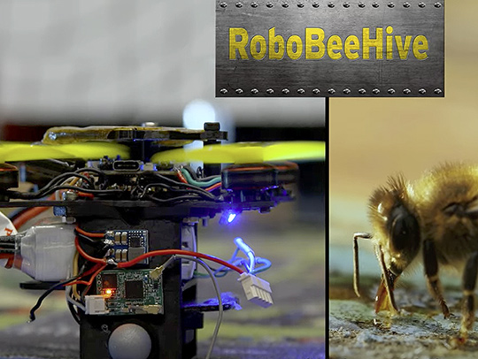 A split image of tiny flying drone on one side and a bee on the other, with a logo for RoboBeehive.