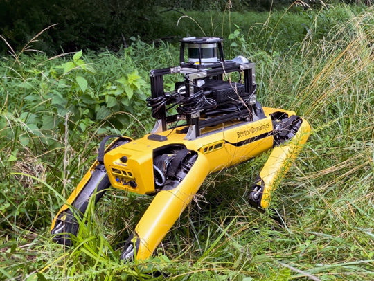 A yellow, four-legged robot standing in long grass.