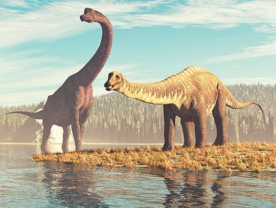 A pair of long-necked dinosaurs on a lakeshore. Credit: Adobe Stock