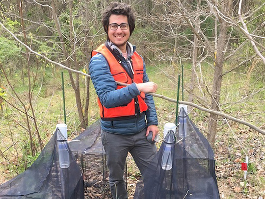 Maryland state entomologist Max Ferlauto in a wooded area, with insect netting.