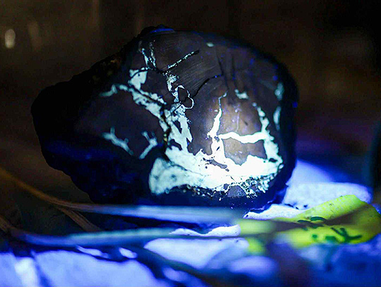 Solidified lava trapped in lithified sediment glows after being exposed to UV light. Credit: Nautilis Live.