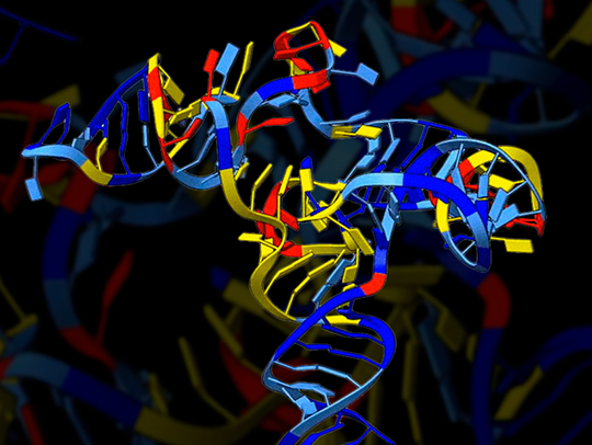 3D model of a folding protein
