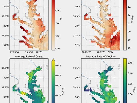 Color-coded maps of showing that marine heat waves vary in their intensity, duration, frequency and other characteristics depending on their location in the Chesapeake Bay. Image courtesy of Rachel Wegener. Color-coded maps of showing that marine heat waves vary in their intensity, duration, frequency and other characteristics depending on their location in the Chesapeake Bay. Image courtesy of Rachel Wegener.
