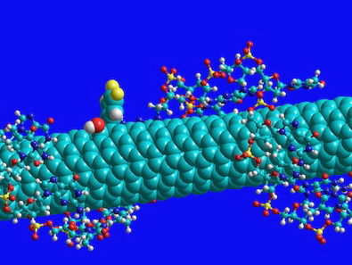 A 3D model of a molecular quantum defect detector.