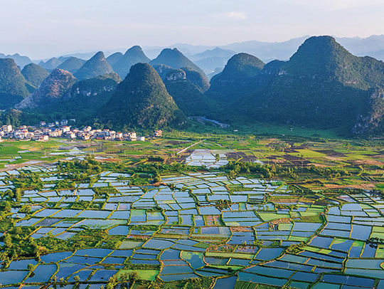 A beautiful view of lush rice paddies Yangshuo, China with a cluter of high peaks in the misty distance. Flooding fields suppresses weeds and pests but promotes methane production. Credit: Jingting Zhang.