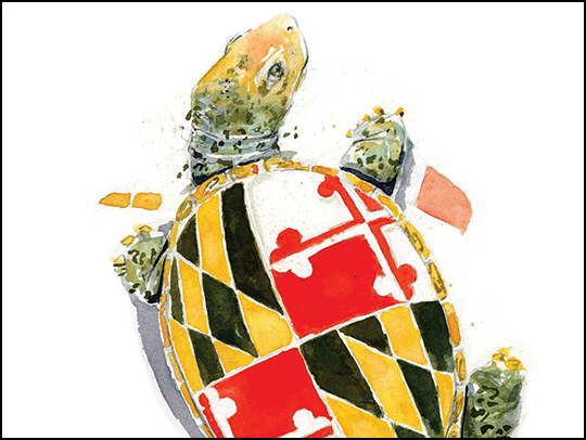 A watercolor painting of a terrapin with a UMD flag pattern on its shell