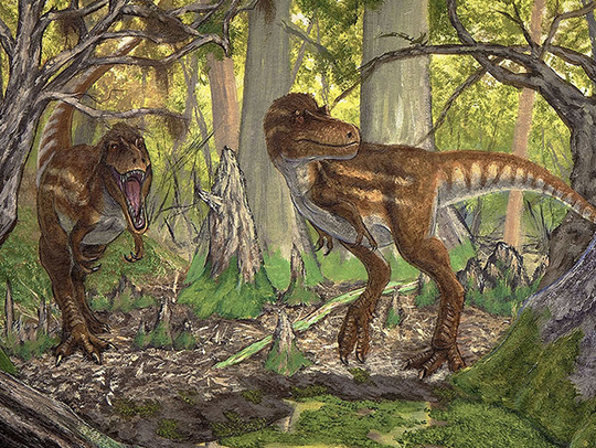 An illustration of two young tyrranosaurs. Credit: Zubin Eric Dutta.